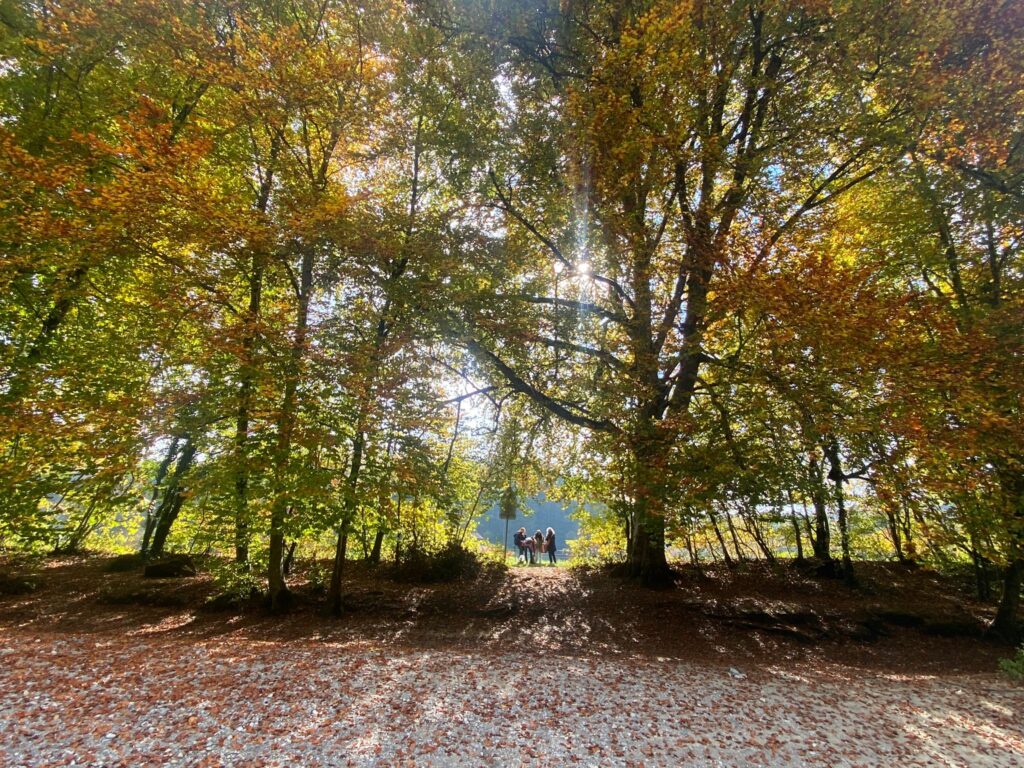 Inicio Bosque de otoño con grupo de personas en el centro
